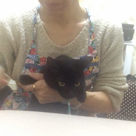 お利口さん兄妹の画像