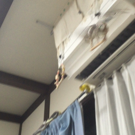 ✈️ 飛びます♪飛びます✈️の画像