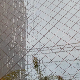 雷さま。の画像