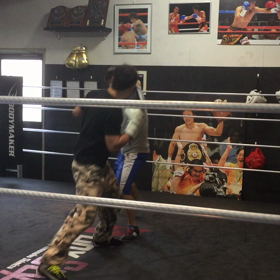 久しぶりに動いてみたの画像