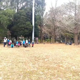 ダッシュ(紺・黄緑グループ)②の画像