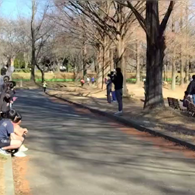 ミニ駅伝（中継所）⑪の画像