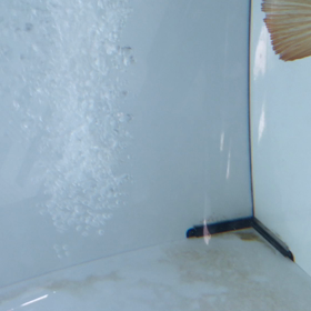 安価なGHD１匹限定特価にて放出いたします。の画像