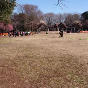 特別練習 B 学年別インターバル⑰の画像