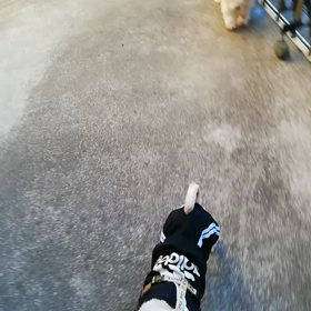 １日の始まり♪の画像