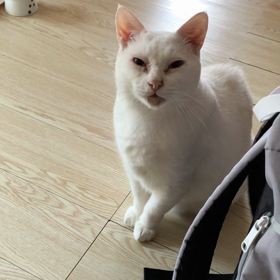 梅雨明け間近？の画像