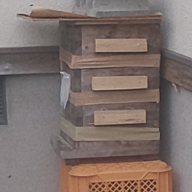 今年も偵察隊が…の画像