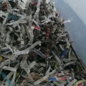 ゴローくんのお目覚めの画像