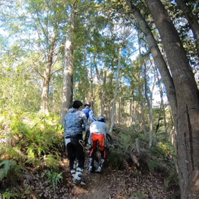 昨日の青春の画像