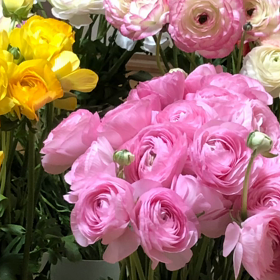 12/14のきになるMovieの画像