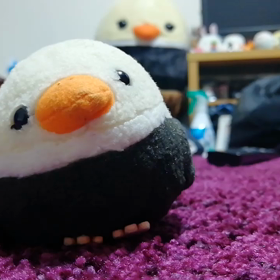 ピーコと私　ﾌﾟﾘﾌﾟﾘ296の画像