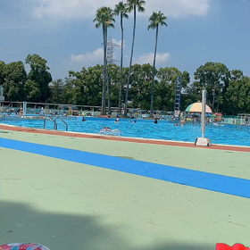 プールで泳ぐの画像