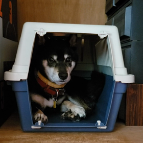 起こした⁉️の画像