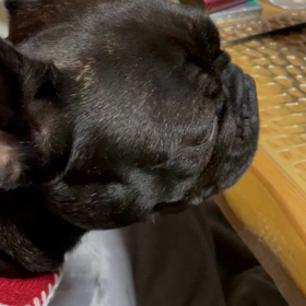 とうやがほしいの画像