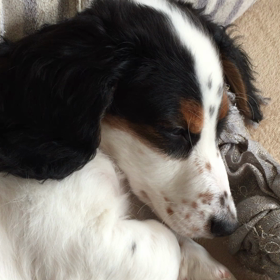 うとうとの画像