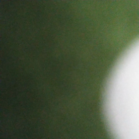 久しぶりにの画像