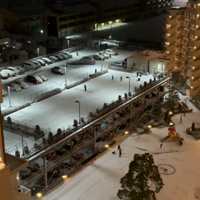 ３年ぶり？ ４年ぶり？ 雪（動画）②。の画像