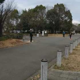 川越 長距離記録会1500m １組目⑤の画像