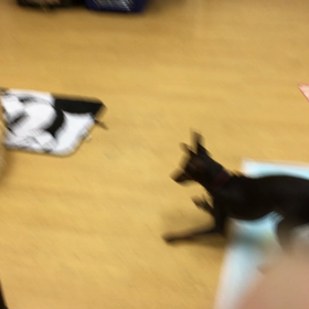 こんな可愛い子ちゃんに誘って貰えるとは。の画像