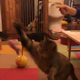 定休日〜の画像