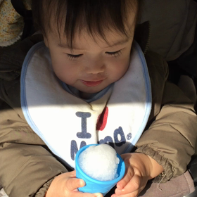 ♪辰初めて触る雪♪の画像