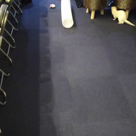 今日も元気に遊んでま～すの画像