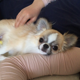 まったりとした休日の画像