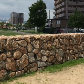 ”自転車デビュー”から５年…の画像