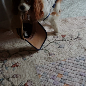 大変❗体重が～の画像