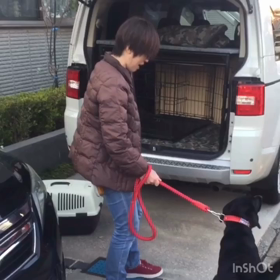 コロナになんて、負けないぞっ！の画像