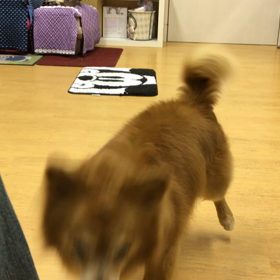 マロン編。の画像