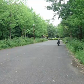 100m記録会 Bグループ⑨の画像