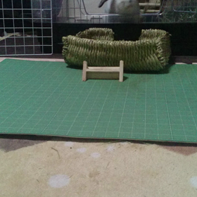 動画とってみた3の画像