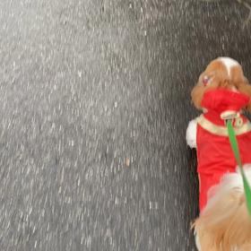 ピッタリの画像