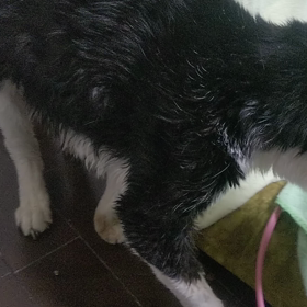 夜中2時半の現実の画像