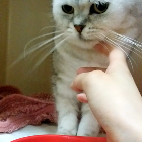 お泊まり　信くんの画像