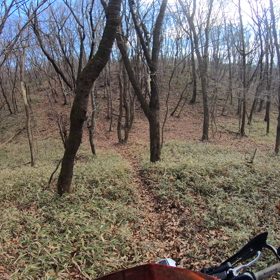 オフロード林道LIFE（赤城山編）の画像