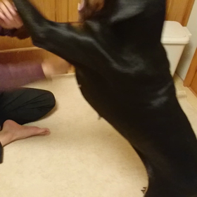 お父さん危うし？！の画像