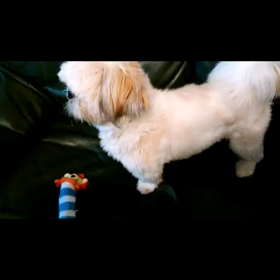 ライオンのおもちゃ☆ 動画9の画像