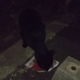 ☆  くねちゃんに 聴いてもらう  ☆の画像