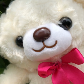 6月29日の気になる、きになるぅ〜の画像