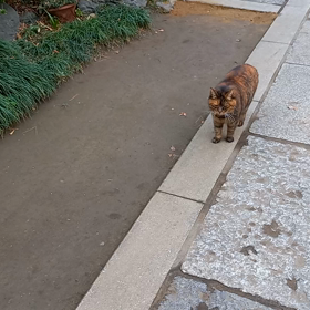 2023/12/16の画像