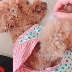 ちぃちゃんどんだけーの画像