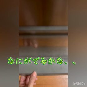 ダイエットのときも我慢したくない旬のものの画像