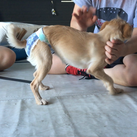 ダウンカウントの画像