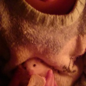 ☆ふわふわアイスくん☆の画像