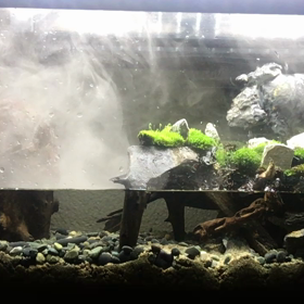 アップします(^^)の画像