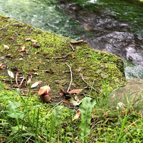 話楽地蔵…癒しの画像