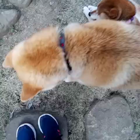 ある日の☆〇男の画像