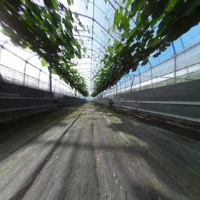 いよいよか、の画像